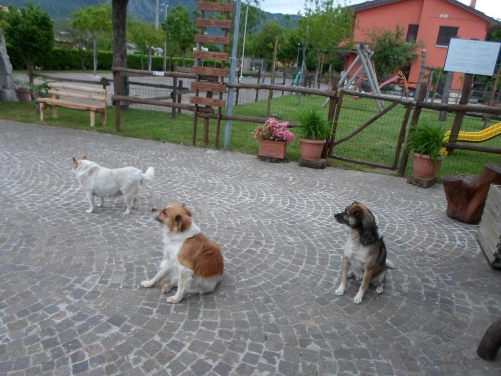 Azienda Agrituristica Pericle Монтелла Екстер'єр фото