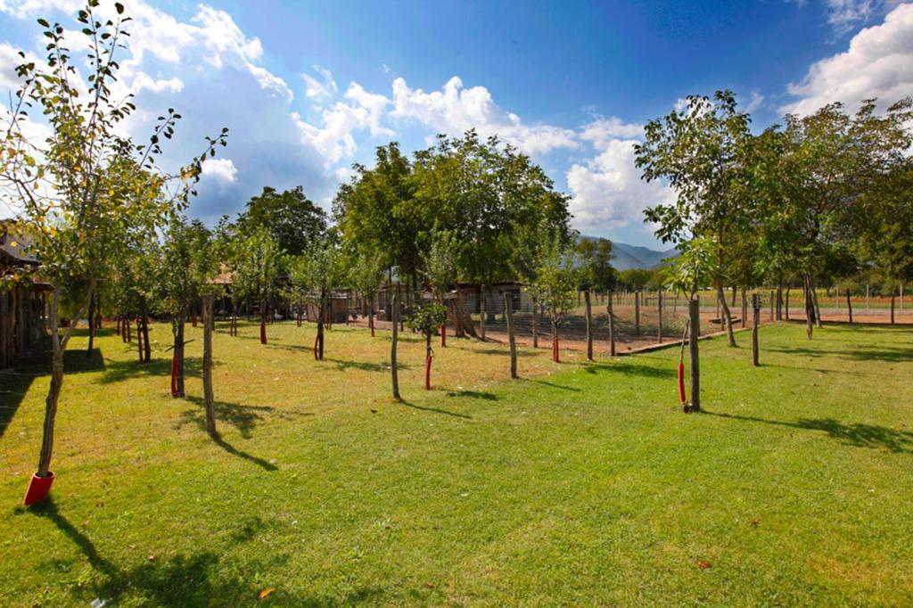 Azienda Agrituristica Pericle Монтелла Екстер'єр фото