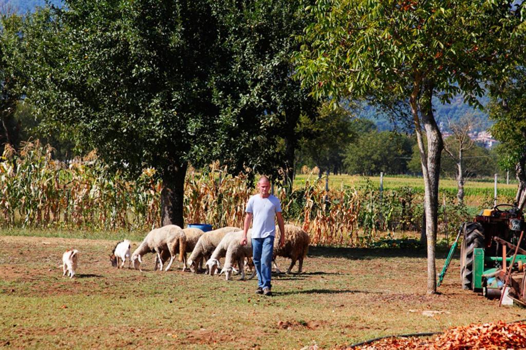 Azienda Agrituristica Pericle Монтелла Екстер'єр фото